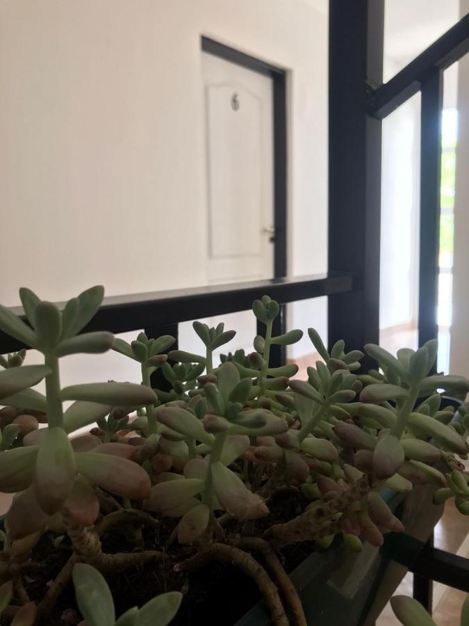 Guest House 萨尔塔 外观 照片